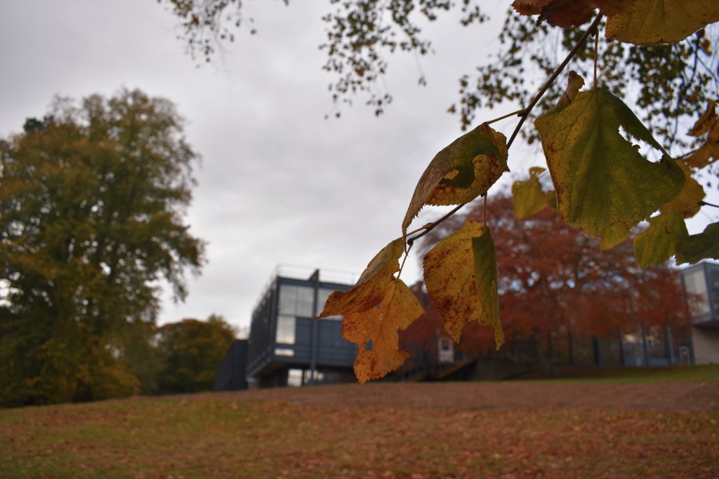 RGU Autumn Campus Blog - RGU Student Blog